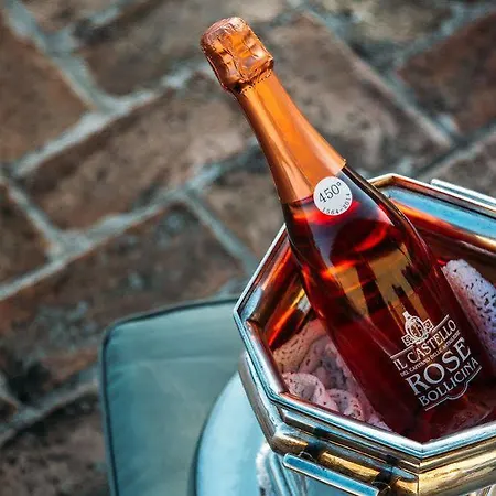 Castello Del Capitano Delle Artiglierie 4* Castrocaro Terme